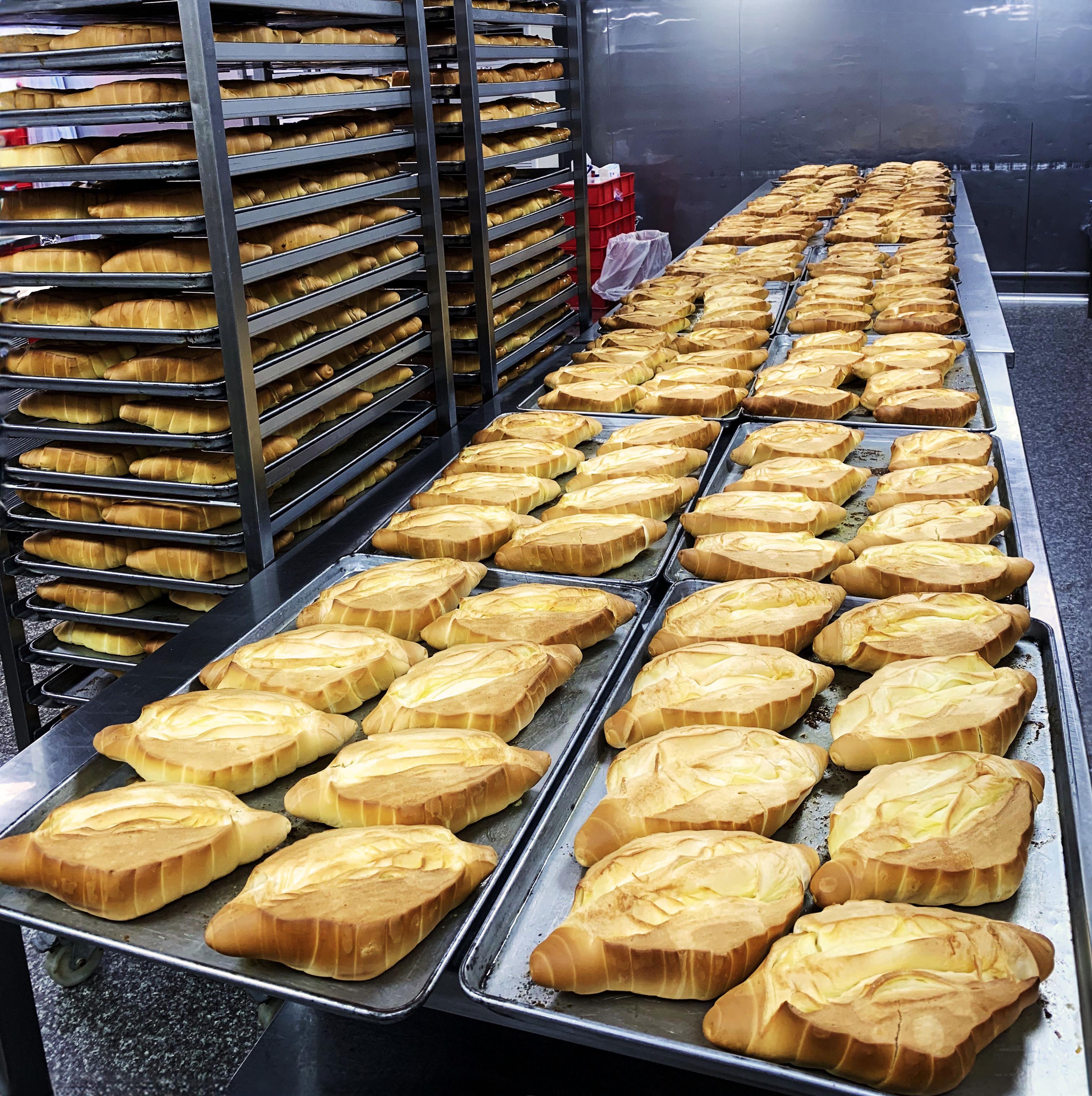 Wastewater Treatment for Master Feng Bakery in Kaohsiung, Taiwan Wastewater Treatment for Master Feng Bakery in Kaohsiung, Taiwan