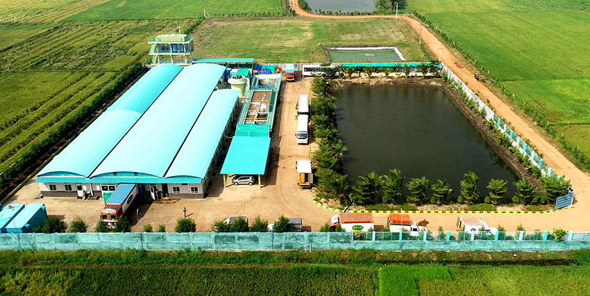 Food Process Factory Effluent Pump Replacement in Andhra Pradesh, India Food Process Factory Effluent Pump Replacement in Andhra Pradesh, India