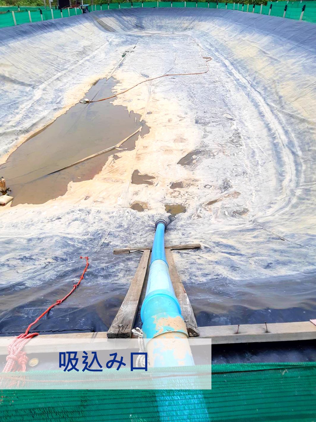 タイ・チャチューンサオ県～エビ養殖場長距離揚水プロジェクト