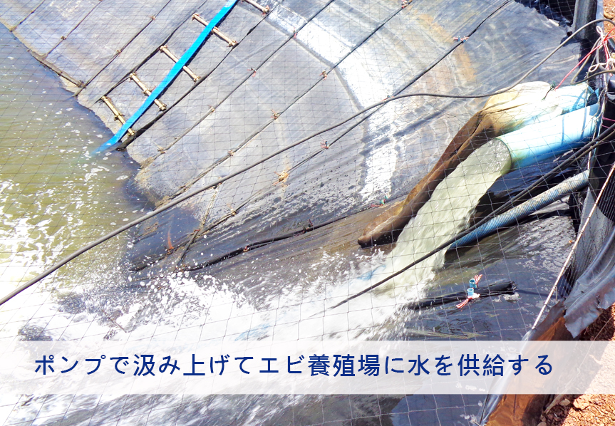 タイ・チャチューンサオ県～エビ養殖場長距離揚水プロジェクト