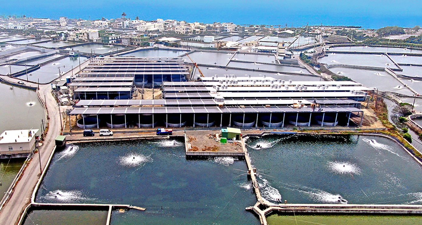 Solar Power and Aquaculture in Pingtung, Taiwan